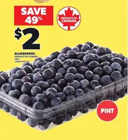 Loblaws BLUEBERRIES offer