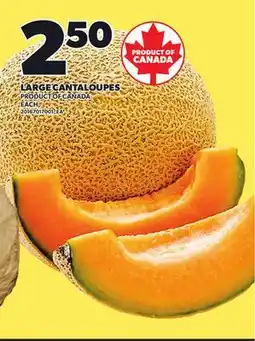 Loblaws LARGE CANTALOUPES offer