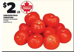 Loblaws VINE RIPE FIELD TOMATOES offer
