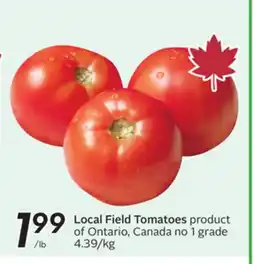 Sobeys Local Field Tomatoes offer
