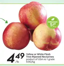 Sobeys Yellow or White Flesh Tree-Ripened Nectarines offer