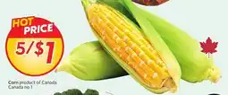 Sobeys Corn offer