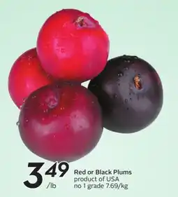 Sobeys Red or Black Plums offer