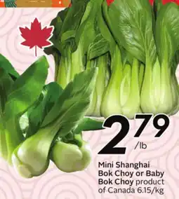 Sobeys Mini Shanghai Bok Choy or Baby Bok Choy offer