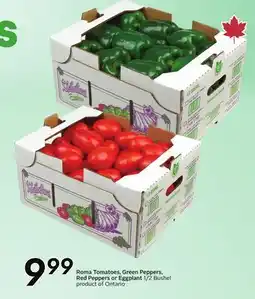 Sobeys Roma Tomatoes, Green Peppers, Red Peppers or Eggplant offer