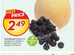 Sobeys Cantaloupe offer