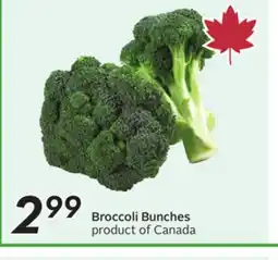Sobeys Broccoli Bunches offer