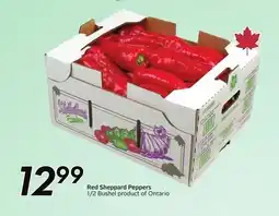 Sobeys Red Sheppard Peppers offer