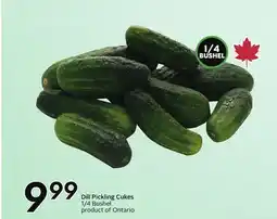 Sobeys Dill Pickling Cukes offer