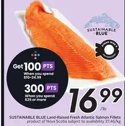 Sobeys SUSTAINABLE BLUE Land-Raised Fresh Atlantic Salmon Fillets offer