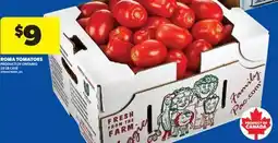 Real Canadian Superstore ROMA TOMATOES, 25 LB CASE offer