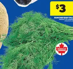 Real Canadian Superstore BUNCHED BABY DILL offer