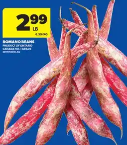Real Canadian Superstore ROMANO BEANS offer