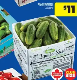 Real Canadian Superstore DILL CUCUMBERS, 1/4 BUSHEL offer