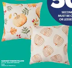 Real Canadian Superstore HARVEST THROW PILLOW offer