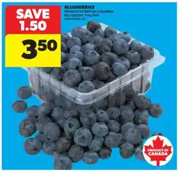 Real Canadian Superstore BLUEBERRIES offer
