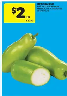 Real Canadian Superstore OPO SQUASH offer