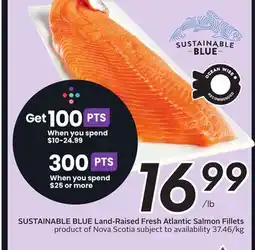 Sobeys Land-Raised Fresh Atlantic Salmon Fillets offer