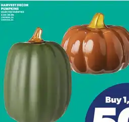 Real Canadian Superstore HARVEST DECOR PUMPKINS, 4.00-39.00 offer