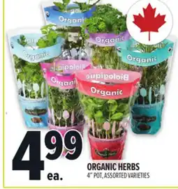 Metro ORGANIC HERBS offer