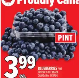 Metro BLUEBERRIES offer