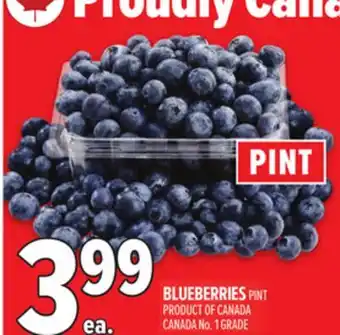 Metro BLUEBERRIES offer