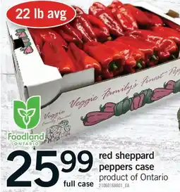 Fortinos RED SHEPPARD PEPPERS CASE, 22 LB AVG offer