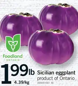 Fortinos SICILIAN EGGPLANT offer