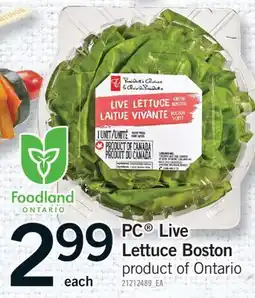 Fortinos PC LIVE LETTUCE BOSTON offer