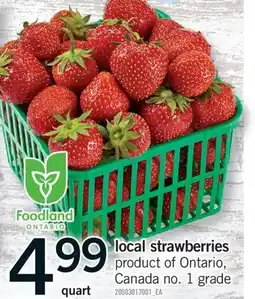 Fortinos LOCAL STRAWBERRIES offer