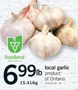 Fortinos LOCAL GARLIC offer