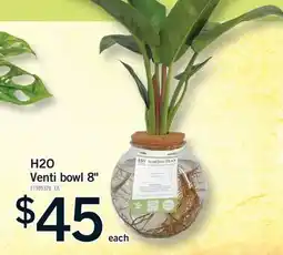 Fortinos H2O VENTI BOWL 8 offer