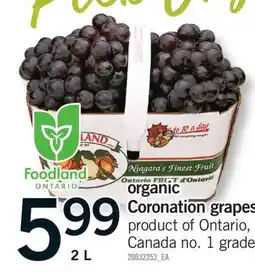 Fortinos FOODLAND ONTARIO ORGANIC CORONATION GRAPES, 2 L offer