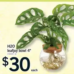 Fortinos H2O LEAFJOY BOWL offer