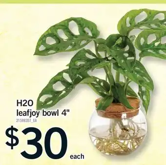 Fortinos H2O LEAFJOY BOWL offer