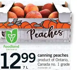 Fortinos CANNING PEACHES, 7 L offer