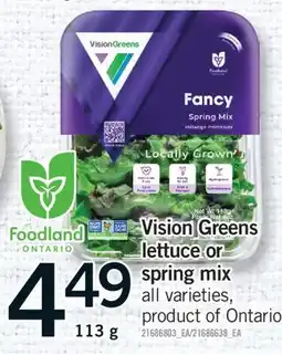 Fortinos VISION GREENS LETTUCE OR LETTUCE OR SPRING MIX, 113 g offer