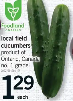 Fortinos LOCAL FIELD CUCUMBERS offer