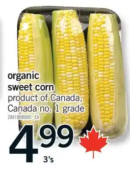 Fortinos ORGANIC SWEET CORN, 3'S offer