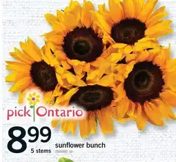 Fortinos 5 STEMS SUNFLOWER BUNCH offer