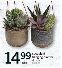 Fortinos SUCCULENT HANGING PLANTER, 4 inch offer