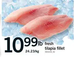 Fortinos FRESH TILAPIA FILLET offer