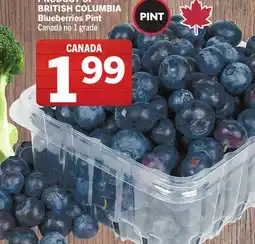 Foodland Blueberries Pint offer