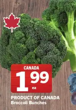 Foodland Broccoli Bunches offer
