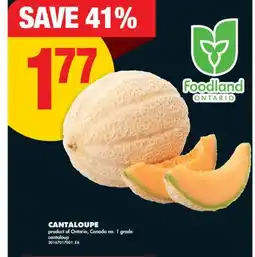 No Frills CANTALOUPE offer