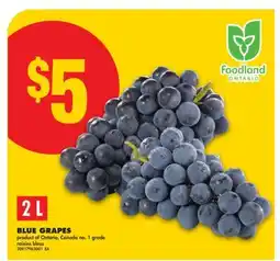 No Frills BLUE GRAPES, 2L offer