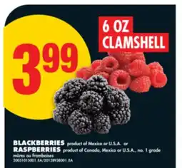No Frills BLACKBERRIES OR RASPBERRIES, 6 OZ CLAMSHELL offer