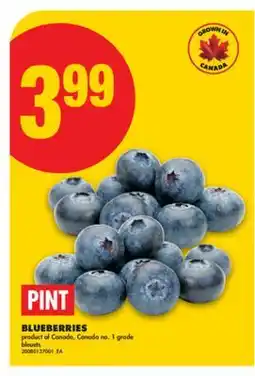 No Frills BLUEBERRIES, PINT offer