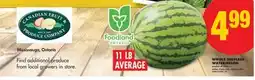 No Frills WHOLE SEEDLESS WATERMELON, 11 LB AVERAGE offer