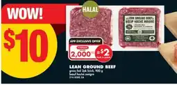 No Frills LEAN GROUND BEEF, 2PK BRICK, 900 G offer